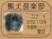 �I�[�i�[�́A�̂�����ł���